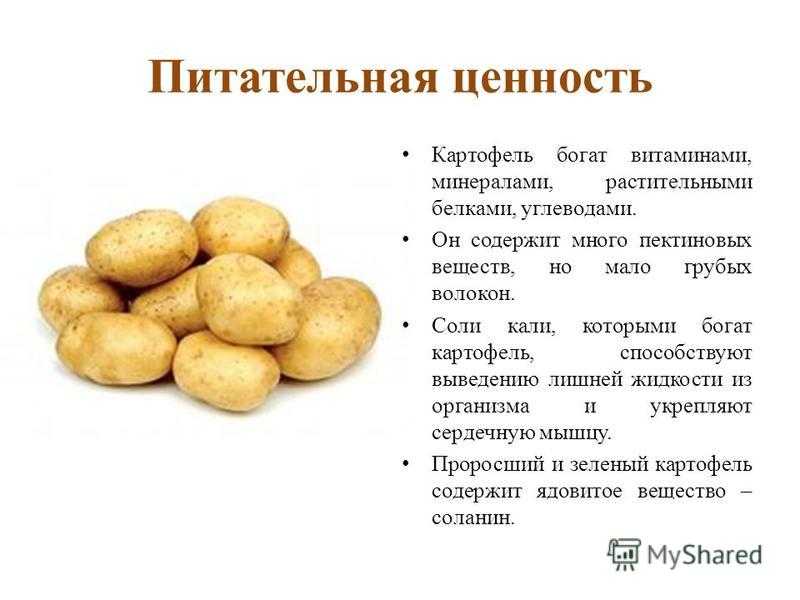 Картофель варёный — химический состав, пищевая ценность, бжу