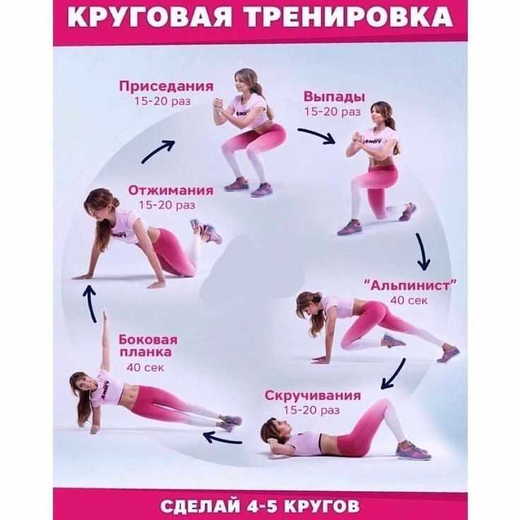 Тренировка для девушек круговая на пресс, верх тела, все группы мышц, что это такое, силовой тренинг для женщин после месячных