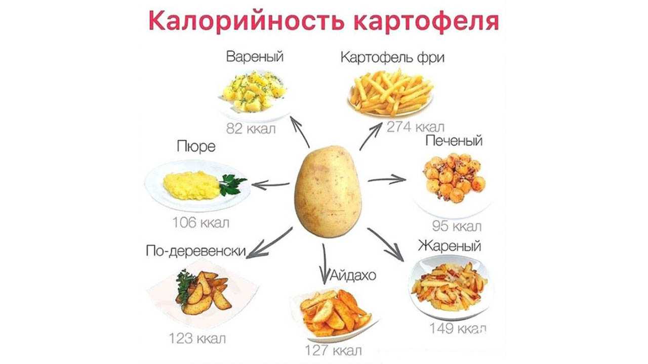 Картофель - калорийность, полезные свойства, польза и вред, описание - www.calorizator.ru