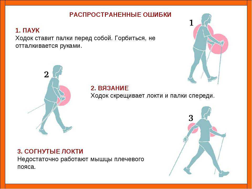 Скандинавская ходьба: польза и вред, как правильно ходить с палками