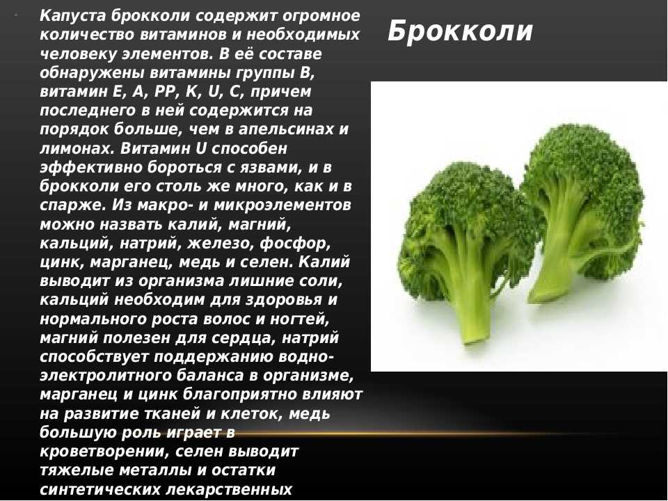 Брокколи: описание, фото, состав, калорийность. полезные свойства капусты брокколи