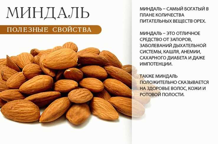 Миндаль - описание, польза и вред для организма, состав и калорийность ореха, фото