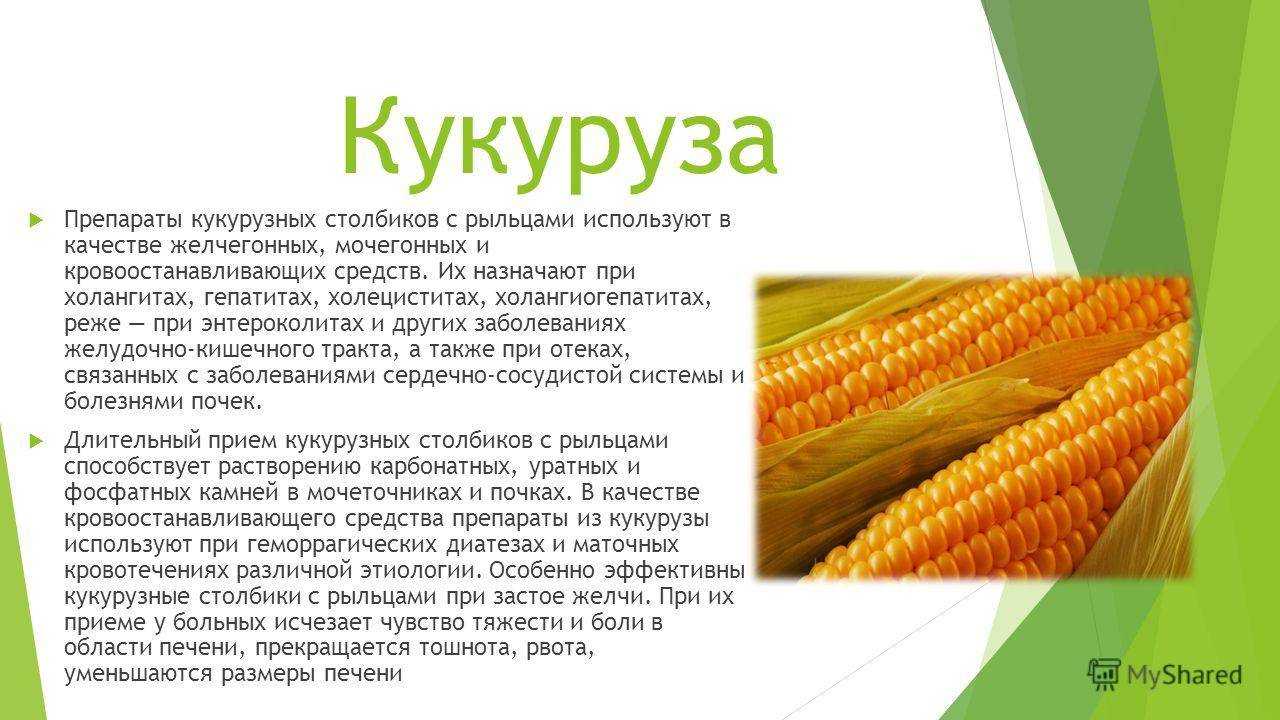 Кукуруза: калорийность на 100 грамм, в 1 шт., польза, вред, витамины, минералы – хорошие привычки