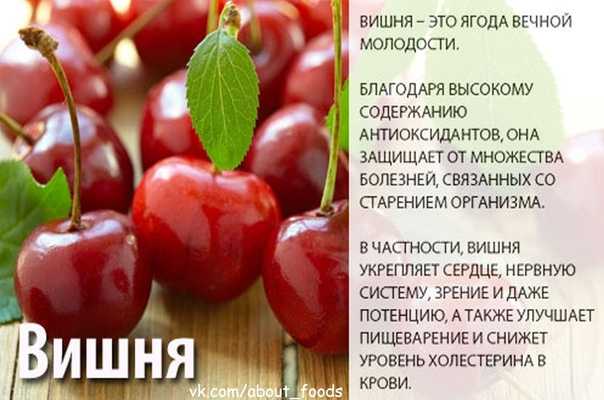 Вяленая вишня: калорийность, польза, вред, рецепты | food and health