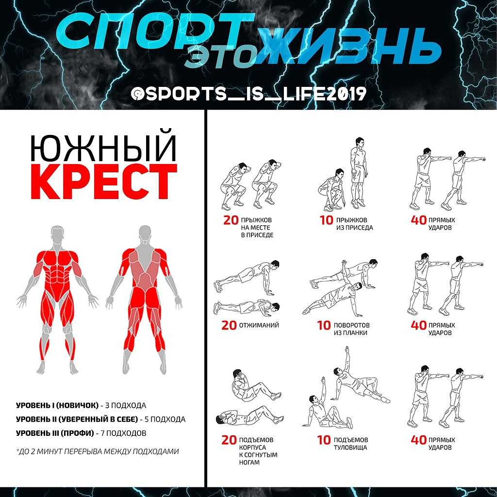 Упражнения на трапецию в тренажерном зале и в домашних условиях | irksportmol.ru