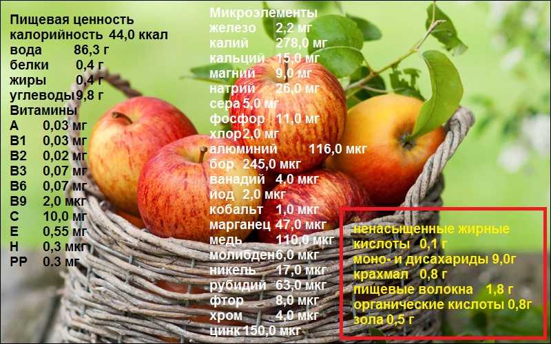 Яблоко: калорийность на 100 грамм — 47 ккал. белки, жиры, углеводы, химический состав.