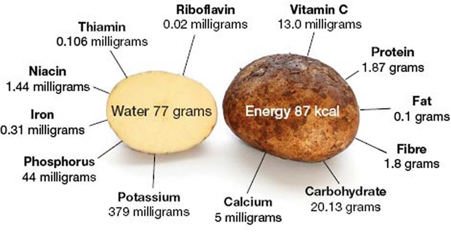 Картофель варёный — витамины
