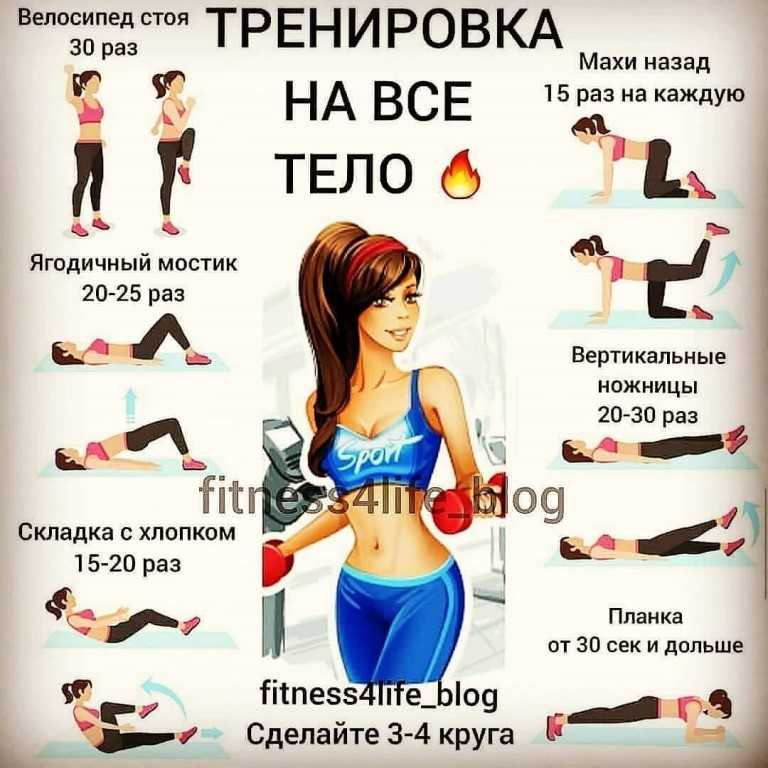Программа тренировок  для начинающих мужчин. мускулы.