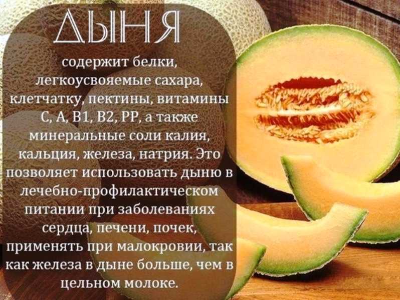 Дыня польза и вред для организма:дыня калории, химический состав, пищевая ценность