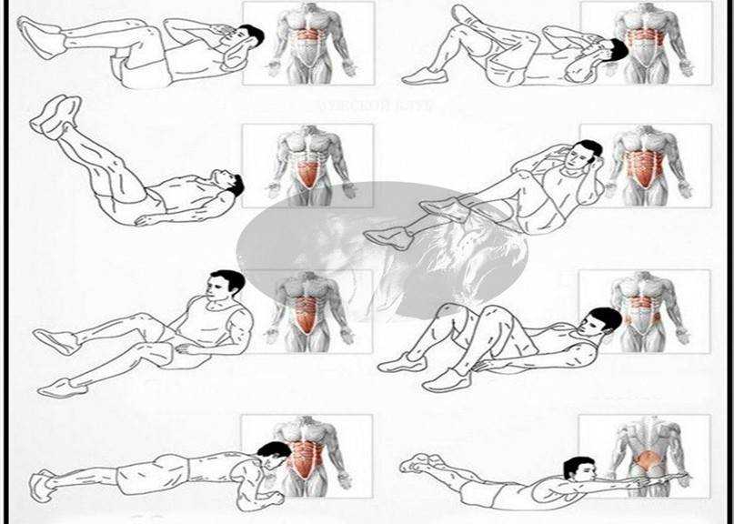 Тренировка на мышцы живота для мужчин — лучшие упражнения