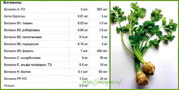 Сельдерей (корень) – калорийность, полезные свойства, пищевая ценность, витамины