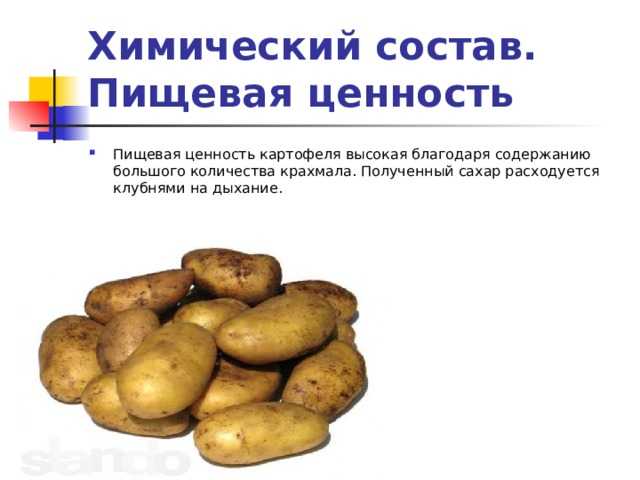 Картофель:  польза и вред