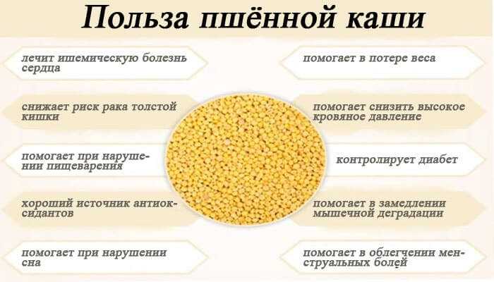 Пшеничные ферменты. Полезные свойства пшенной каши для организма. Чем полезно пшено. Польза пшенной крупы. Полезная пшеничная каша.