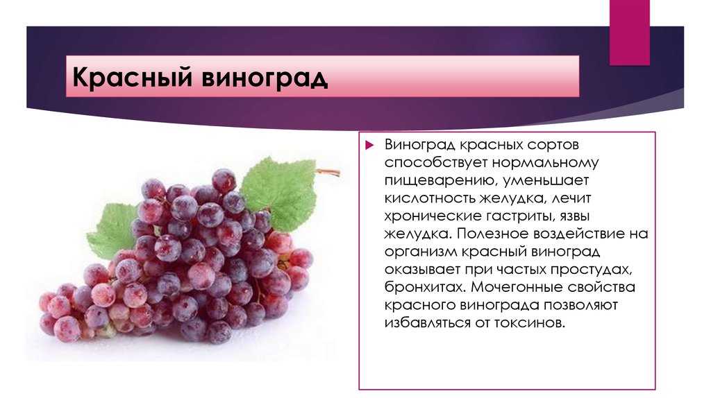 Виноградные листья — химический состав, пищевая ценность, бжу