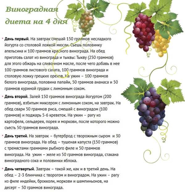 Виноград при похудении, правила приема, виноградные диеты