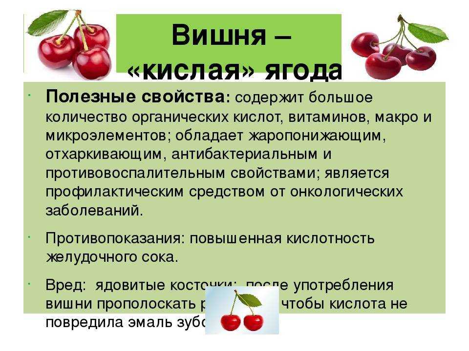 Пищевая ценность, свойства и калорийность вишни