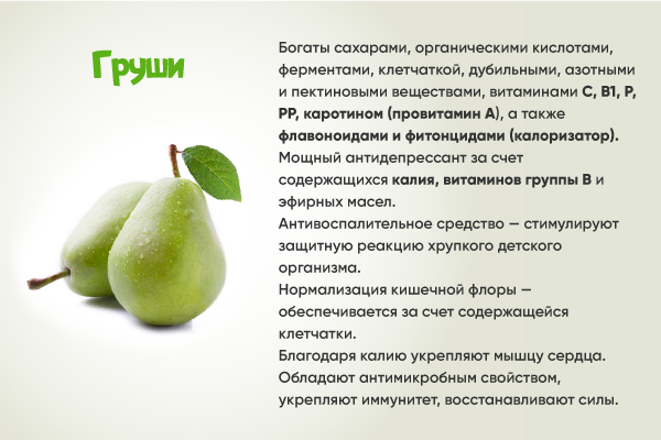 Груша конференция польза и вред для здоровья - дневник садовода semena-zdes.ru