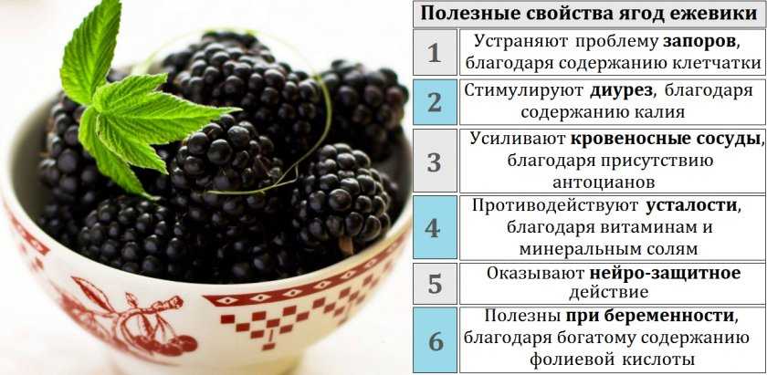 Таблица бжу продуктов в 100 граммах: белки, жиры, углеводы