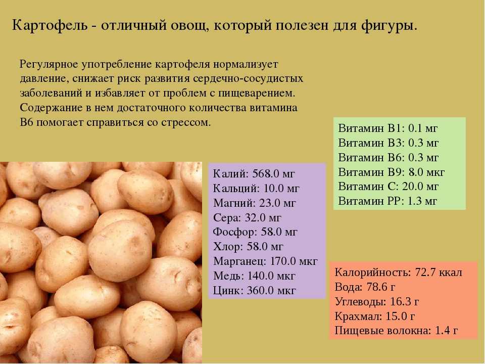 Картофель: польза и вред для здоровья и организма человека, химический состав и лечебные свойства, какие витамины содержатся, сколько углеводов, белка и жиров