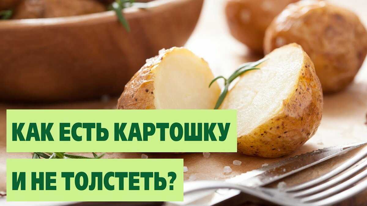 Картофельное пюре — калорийность (сколько калорий в 100 граммах)