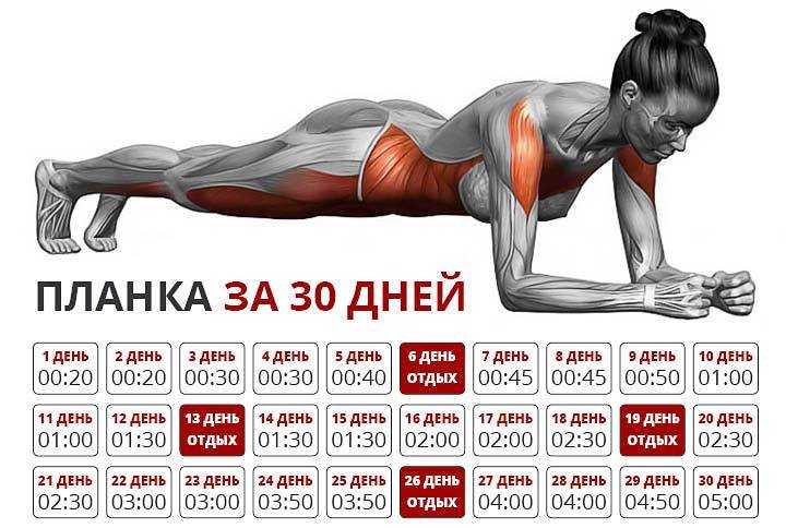 Упражнение планка на 30 дней для мужчин и женщин: таблица и отзывы