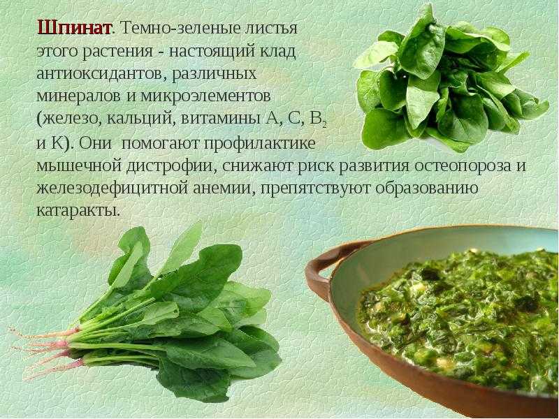 Салат латук — химический состав, пищевая ценность, бжу
