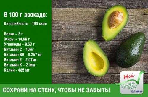 Авокадо – калорийность, полезные свойства и вред для организма