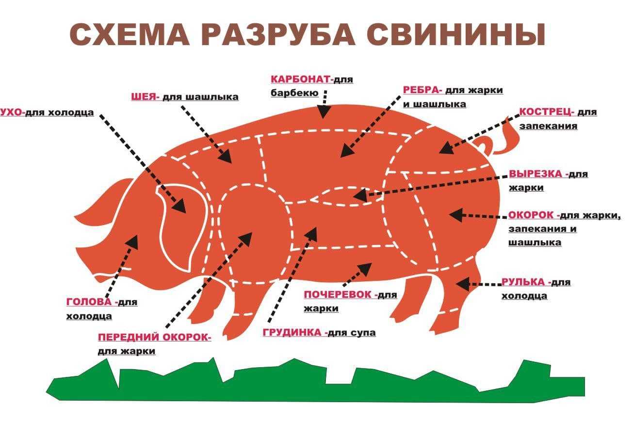 Сало свиное (с прослойкой) — химический состав, пищевая ценность, бжу
