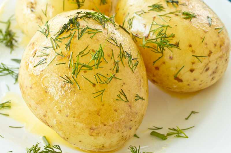 Картофель варёный — химический состав, пищевая ценность