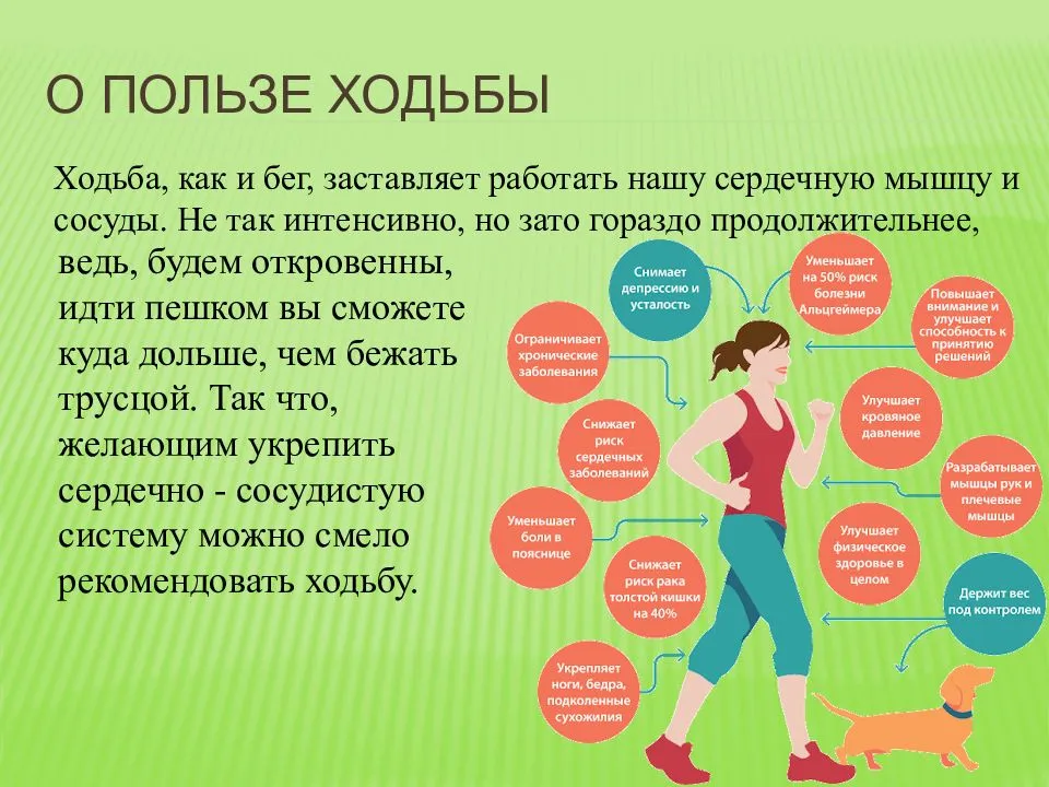 Сколько в день нужно пройти шагов, чтобы похудеть