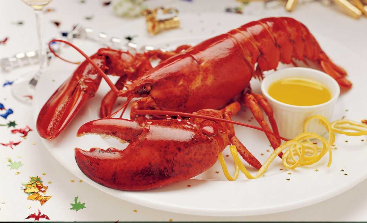 Омары (лобстеры): польза, вред и калорийность | food and health
