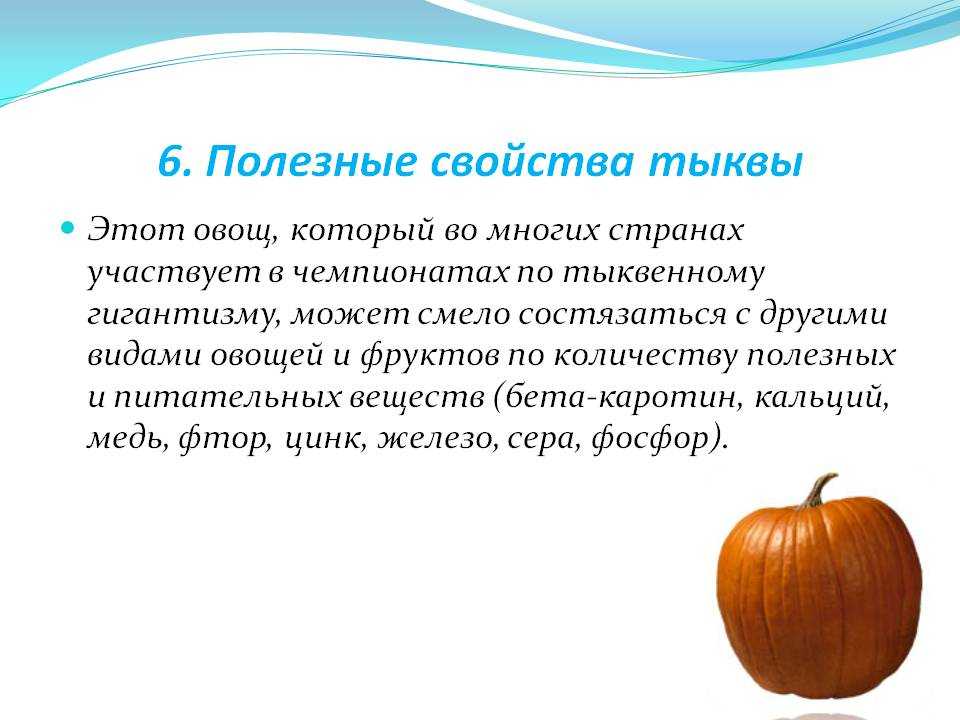 Тыква — какие витамины содержит