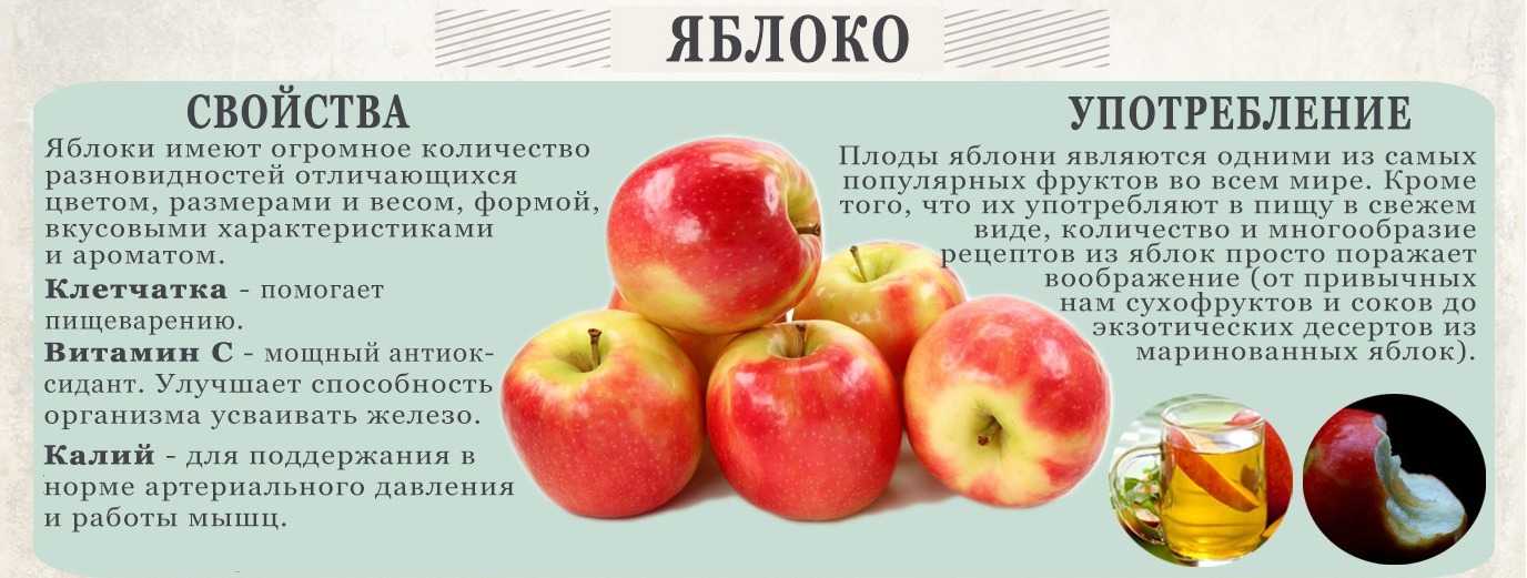 Яблоко: состав и полезные свойства, как правильно употреблять, применение в медицине, противопоказания
