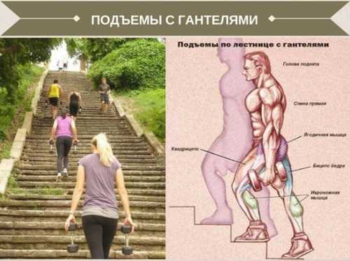 По ступенькам к стройной фигуре: ходьба по лестнице для похудения — упражнения, тренировки, отзывы и результаты