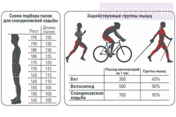 Сколько калорий сжигается при езде на велосипеде