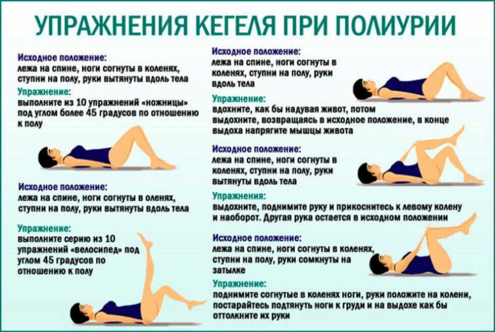 Вумбилдинг: упражнения для начинающих, польза тренировок интимных мышц, преимущества