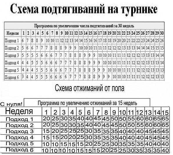 Полное руководство по подтягиваниям с нуля до 20 раз для начинающих