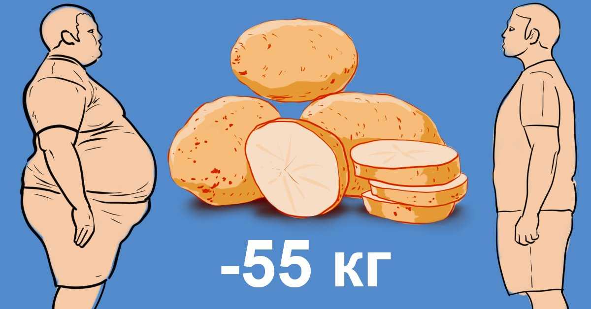 Сколько калорий в картошке, калорийность картофеля на 100 грамм | alkopolitika.ru