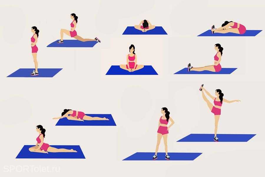 Фитнес-мифы: растяжка делает мышцы длинными и рельефными - fitlabs / ирина брехт