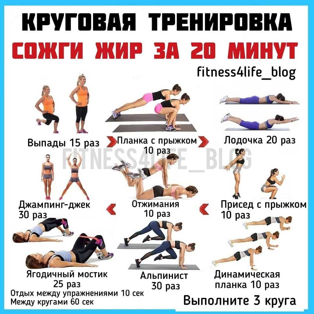 Кардио-тренировка для похудения: 20 упражнений (с фото)
