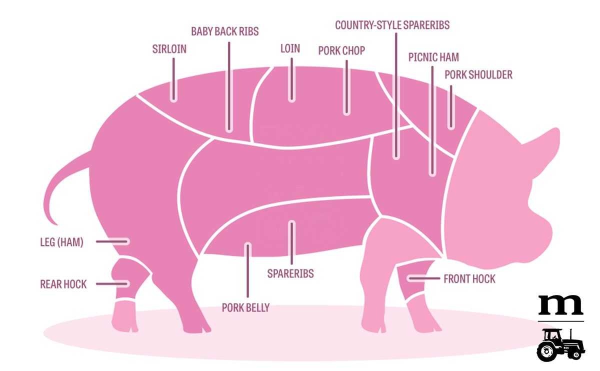 Карбонат свиной — химический состав, пищевая ценность, бжу