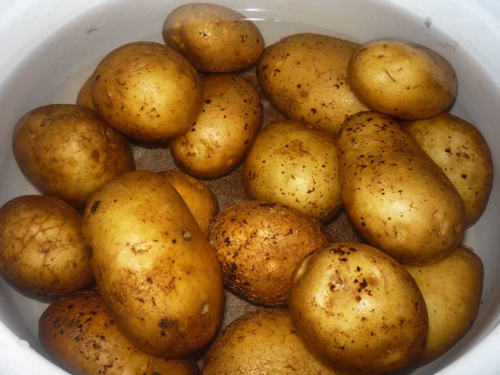 Картофель в горячую воду. Картошка в мундире. Картошечка в мундире. Картофель сваренный в мундире. Кожура картофеля.