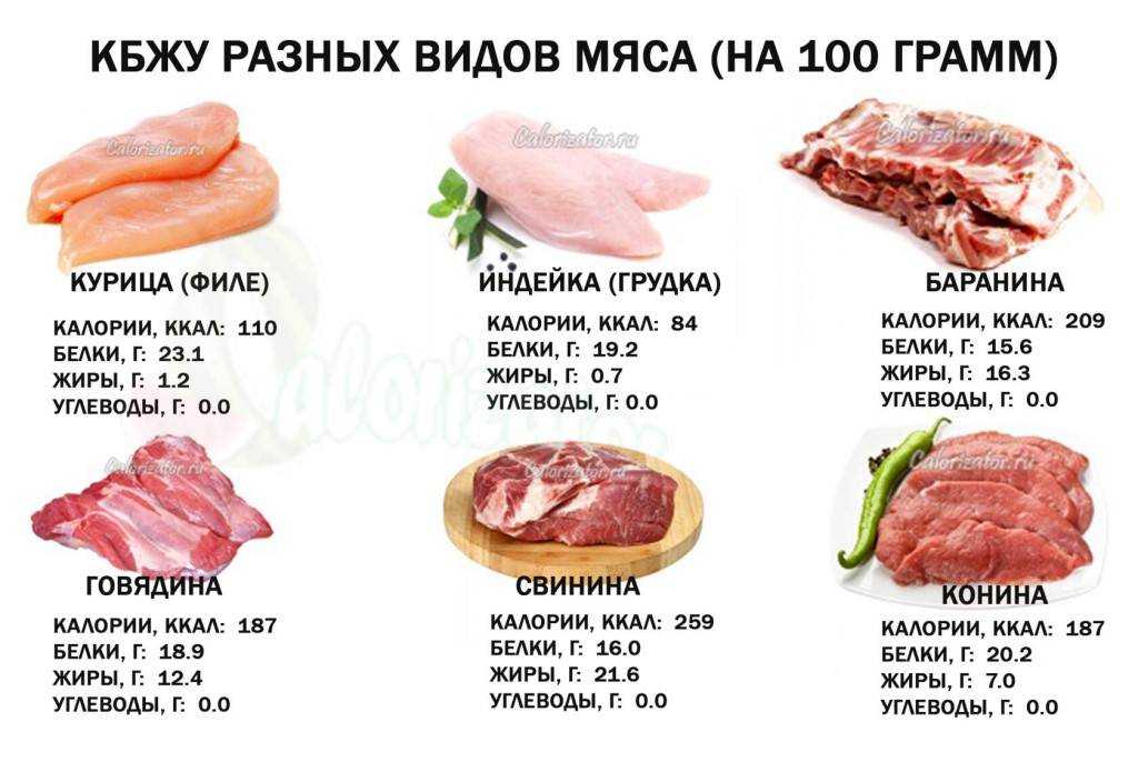 Польза мяса утки шипуна. польза и вред мяса утки | здоровье человека