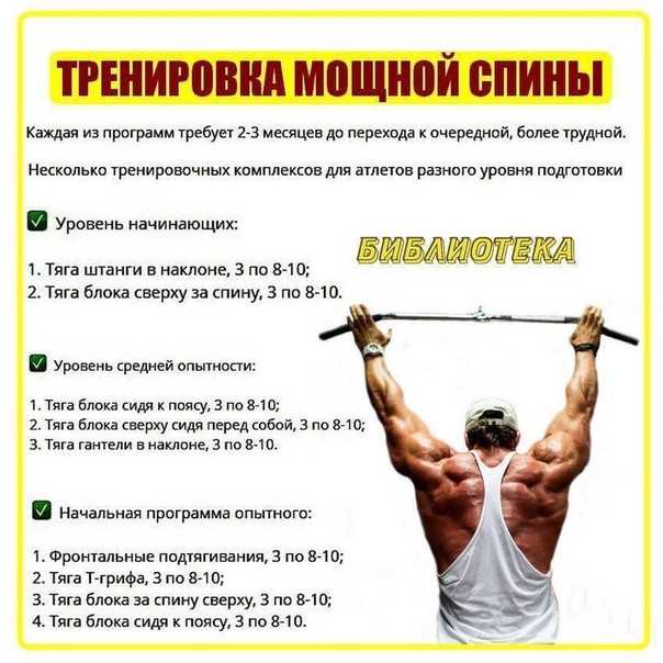 Никаких гантелей и штанг: формируем мышцы и становимся сильнее с помощью упражнений с собственным весом