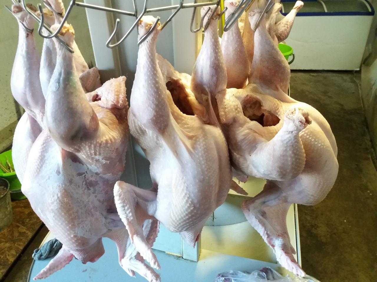 Диета при язве желудка: что можно кушать, лечебное питание, какие продукты не рекомендованы
