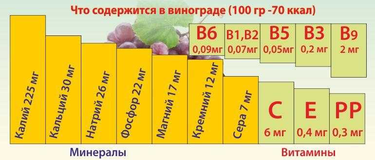 Виноград: калорийность на 100 грамм, польза, вред, бжу