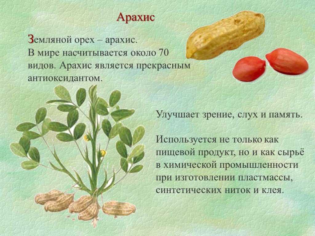 Арахис — минеральный состав