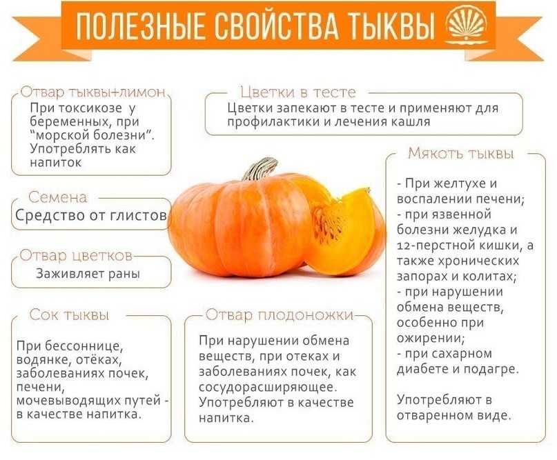 Тыква — какие витамины содержит