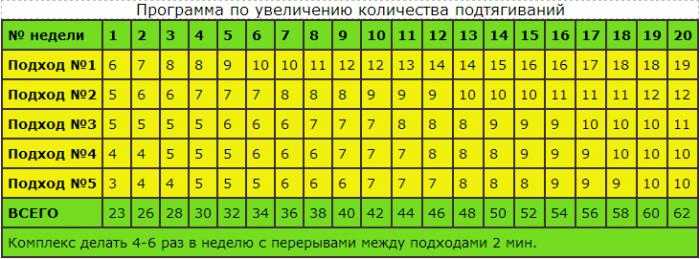 Программа подтягиваний с нуля на турнике: таблица для начинающих