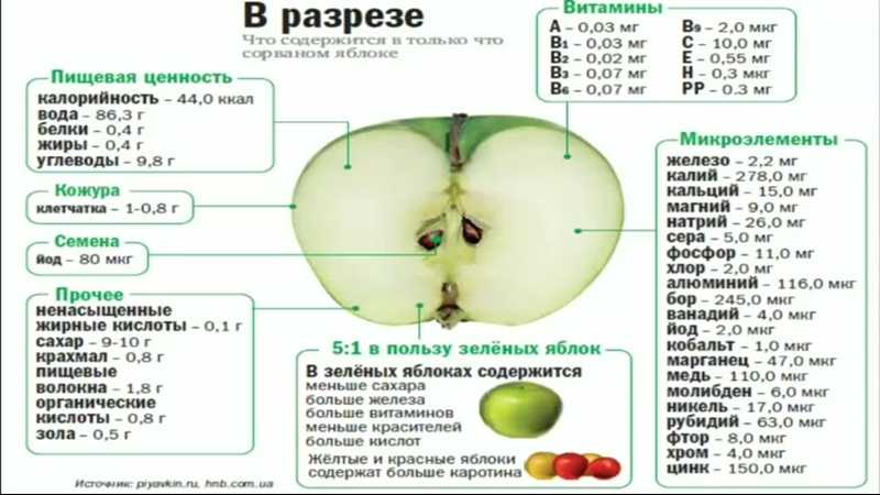 Яблоки — калорийность